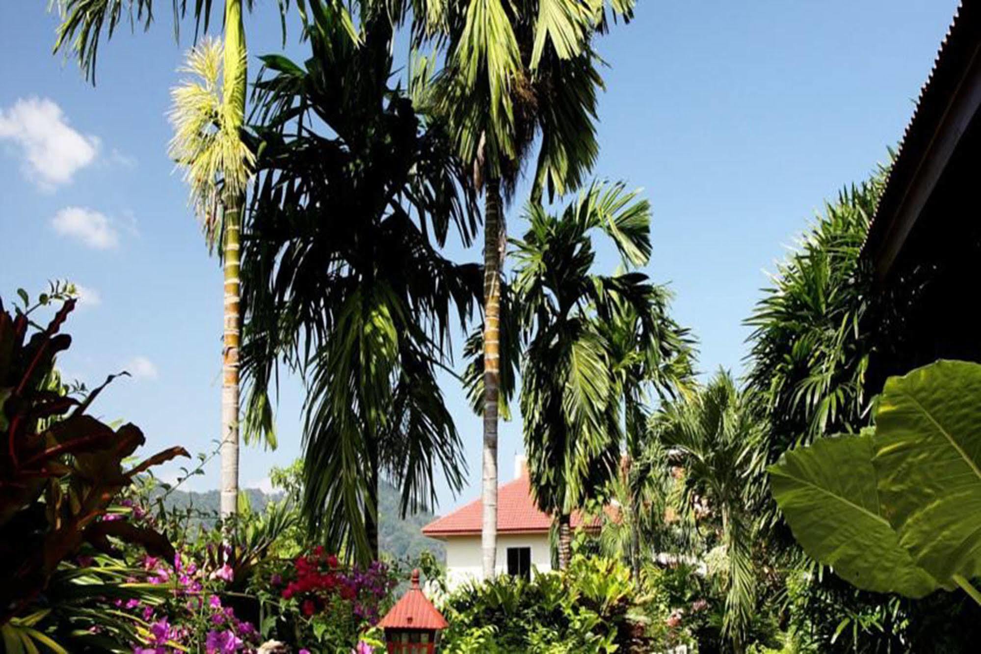 Patong Cottage Resort Экстерьер фото